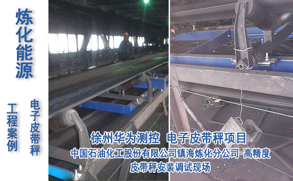 中國(guó)石油化工股份有限公司鎮(zhèn)海煉化分公司_專(zhuān)業(yè)電子皮帶秤生產(chǎn)廠(chǎng)家